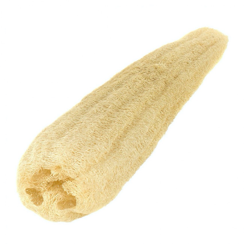 loofah-20190116182944-80626.jpg